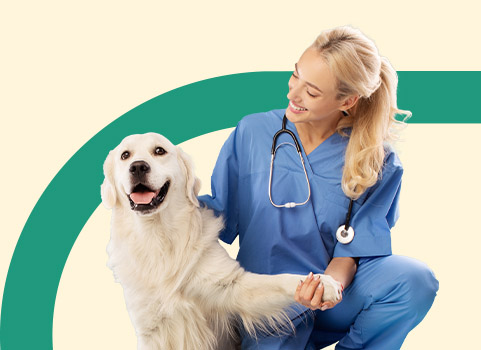 healthcare worker petting and holding a golden retriever's paw.