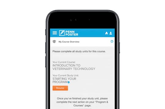 Cost Of Penn Foster Vet Tech Program Online Veterinary Technician Degree | Penn Foster College