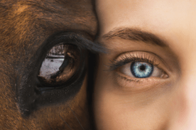 Girl/Horse Eyes Image