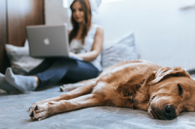 Dog and Girl Study Image