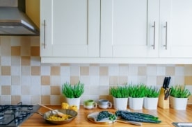 kitchen counter with ingredients laid out