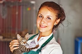 Penn Foster Veterinary Management Graduate.