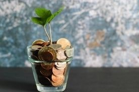 jar of coins with plant.