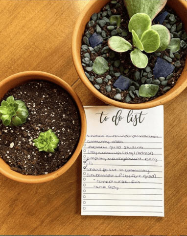 To-Do list with potted plants.