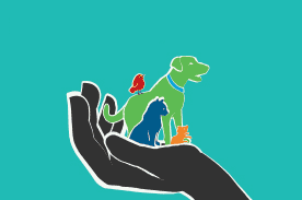 careers in animal care