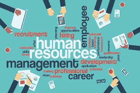 human resources career