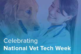 national vet tech week