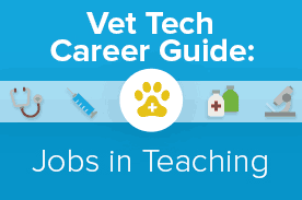 vet tech teaching careers