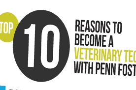 Vet Technician Infographics