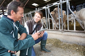 vet tech jobs government agencies