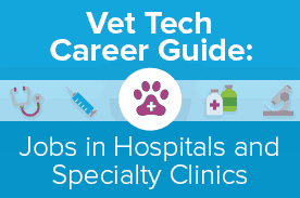 vet tech career guide clinics