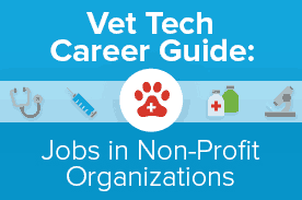 vet tech careers nonprofit