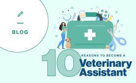 10 Reasons to Become a Veterinary Assistant.