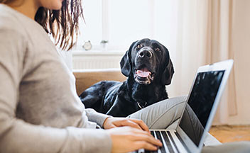 A client and her dog during a telehealth appointment.