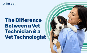 Vet tech holding black and white puppy on blue background with text that says "The Difference Between a Vet Technician & a Vet Technologist.