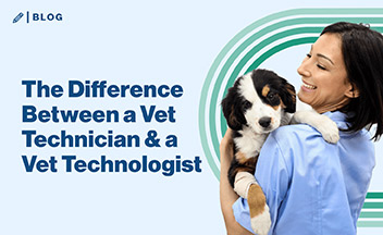 The Difference Between a Veterinary Technician & a Veterinary Technologist