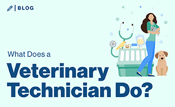 What does a Veterinary Technician Do?
