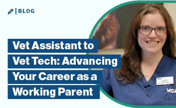 vet tech lauren campion on green background with text Vet Tech to Vet Assistant: Advancing Your Career as a Working Parent.