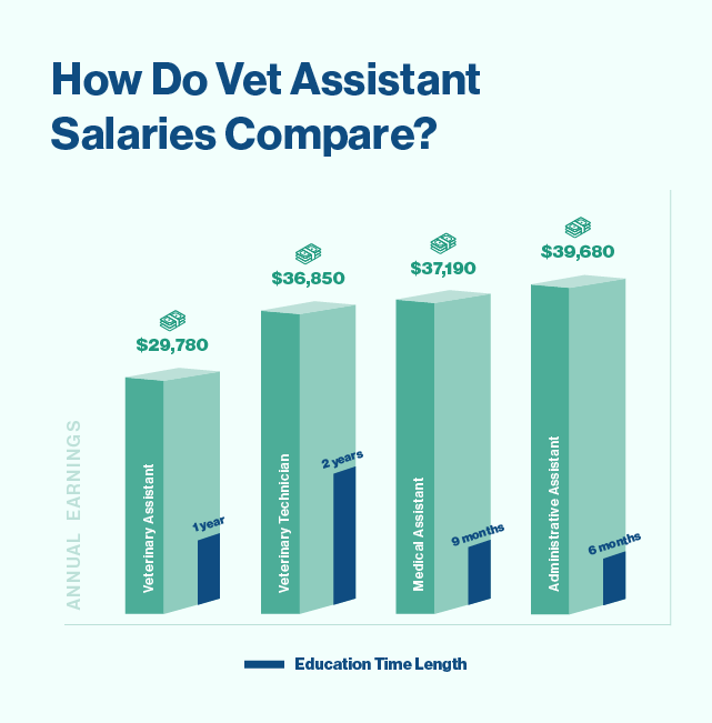 Bar graph comparing vet assistant salary with administrative assistant, medical assistant, and vet tech salary.