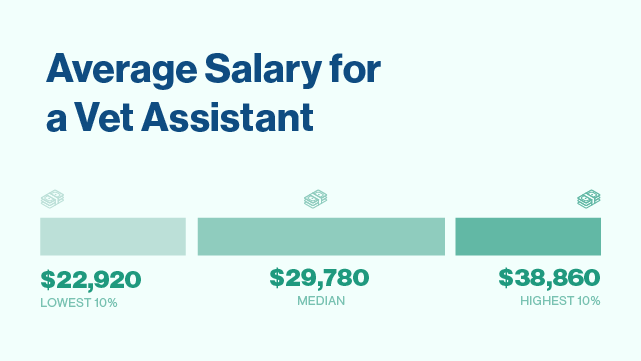 Average Salary for a Vet Assistant from lowest 10% to highest 10%.
