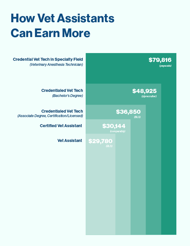 How Vet Assistants Can Earn More bar graph comparing salaries of different career paths in veterinary healthcare.