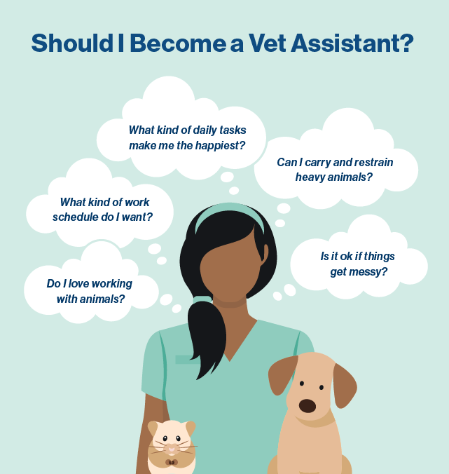 Illustrated image of vet assistant with thought bubbles and text that says Should I Become a Vet Assistant.