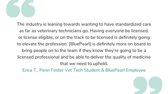 quote from vet tech student and bluepearl employee.