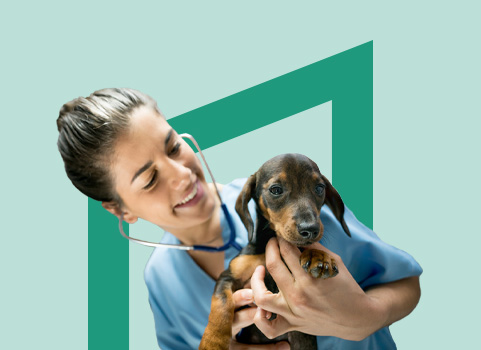 vet tech with stethoscope holding puppy on green background.