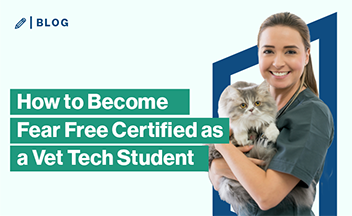 Vet tech holding cat on green background with text "How to Become Fear Free Certified as a Vet Tech Student."