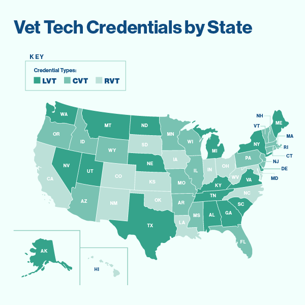 map of the united states of america color coded to indicate which states consider vet techs LVTs, CVTs, or RVTs.
