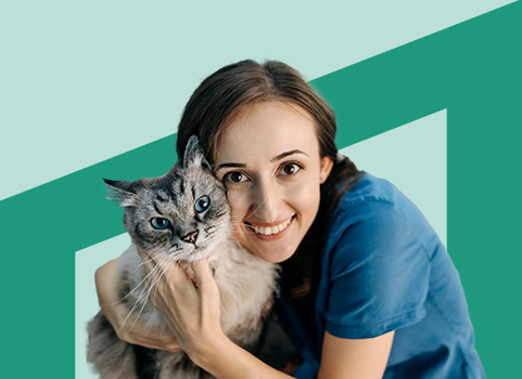 Vet tech in blue scrubs holding gray tabby cat on green background.
