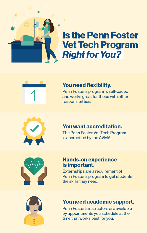 Cost Of Penn Foster Vet Tech Program Interview with Vet Tech Instructors | Penn Foster