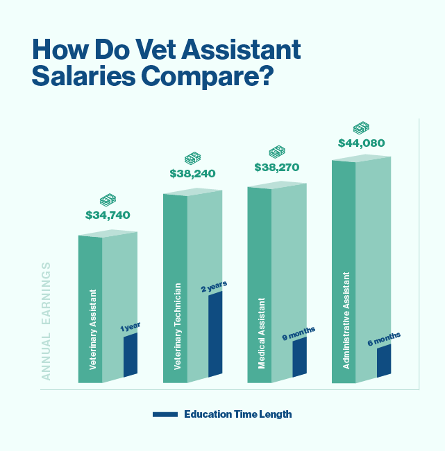 vet assistant salary comparison chart.