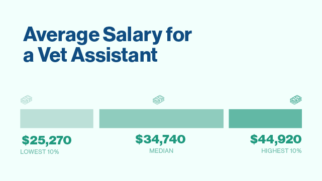 average vet assistant salary.
