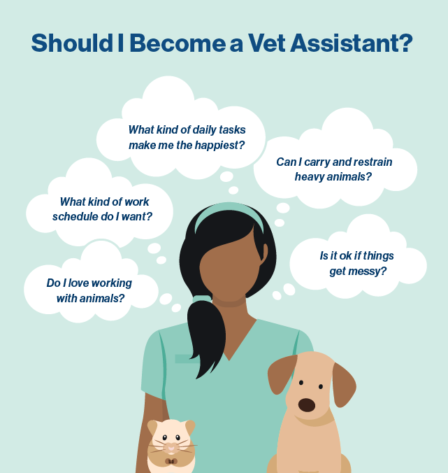 how to decide if you should become a vet assistant.