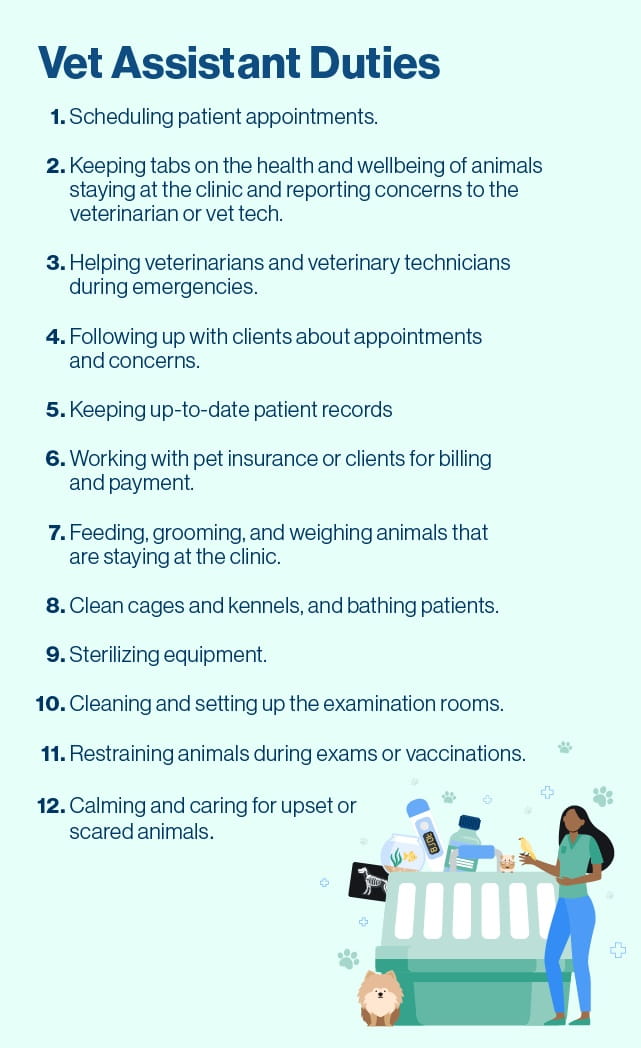 list of common vet assistant duties.