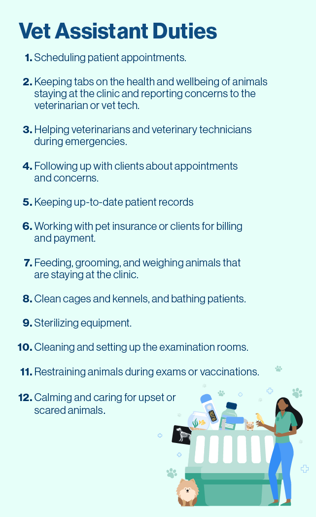 list of common vet assistant duties.