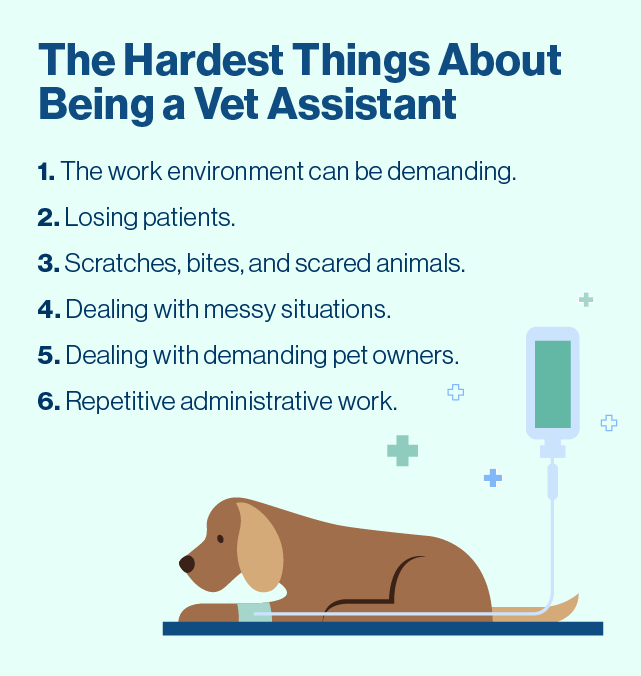 list of hardest things about being a vet assistant.