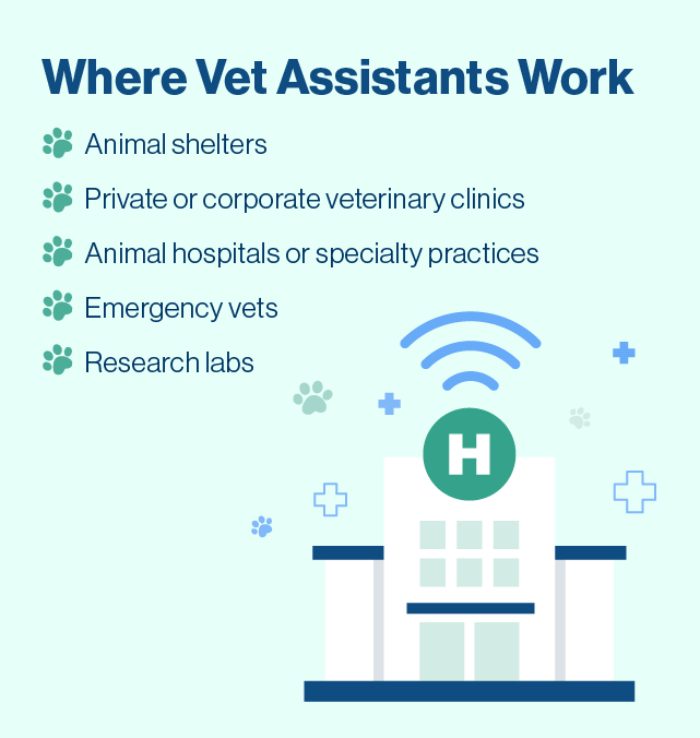 list of places vet assistants can work.