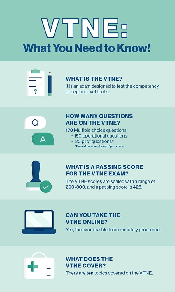 infographic on what you need to know about the VTNE.