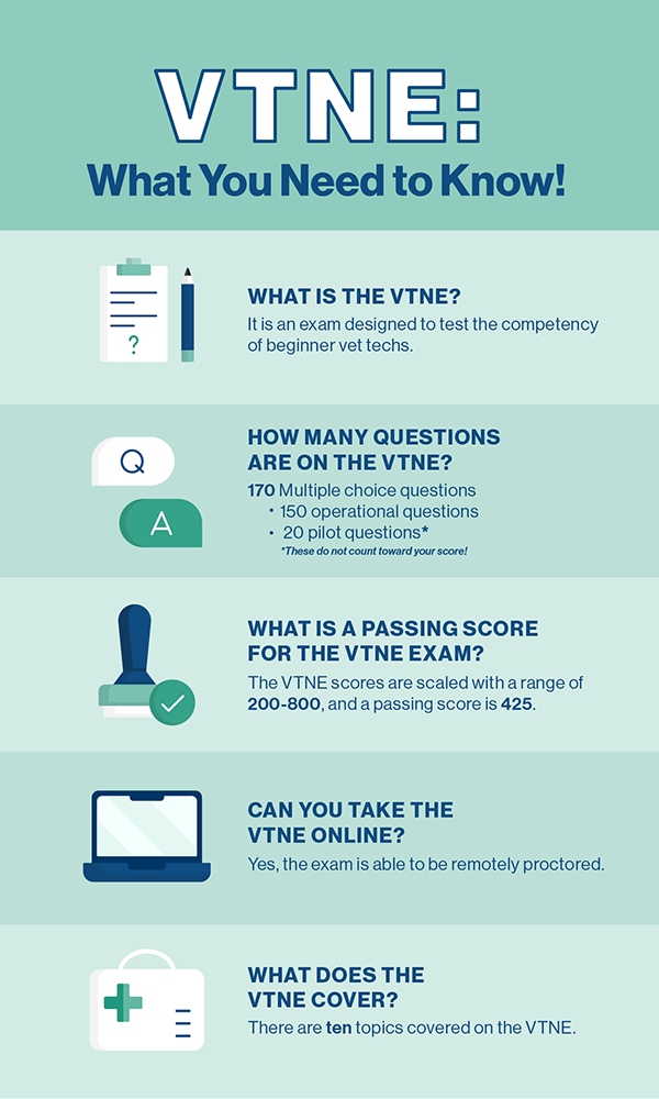 infographic on what you need to know about the VTNE.