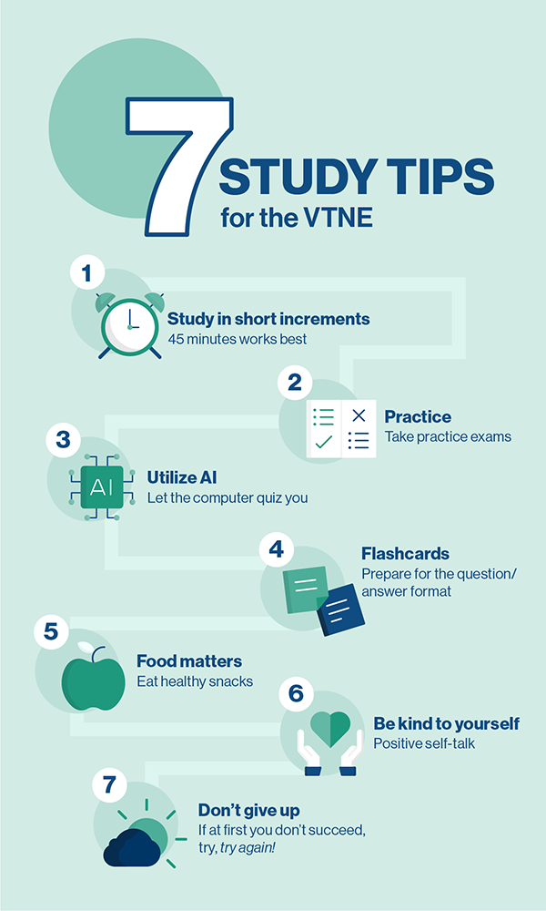 infographic on study tips for the VTNE.
