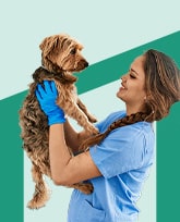 vet tech holding an adorable dog.