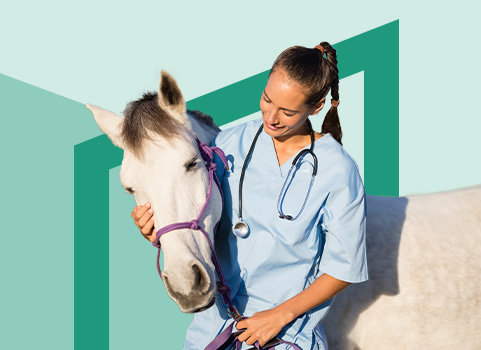 vet tech in blue scrubs with white horse.