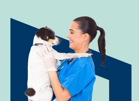 vet worker holding dog.