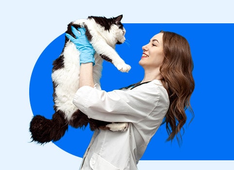 vet holding a black and white cat.