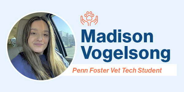 Madison Vogelsong, Penn Foster Vet Tech student selfie on blue background with text.