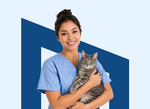 Woman in light blue scrubs holding tabby cat on blue background.