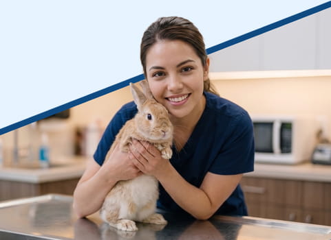 Vet tech in blue scrubs holding rabbit on exam table in veterinary clinic.