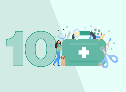 10 Reasons to Become a Veterinary Assistant